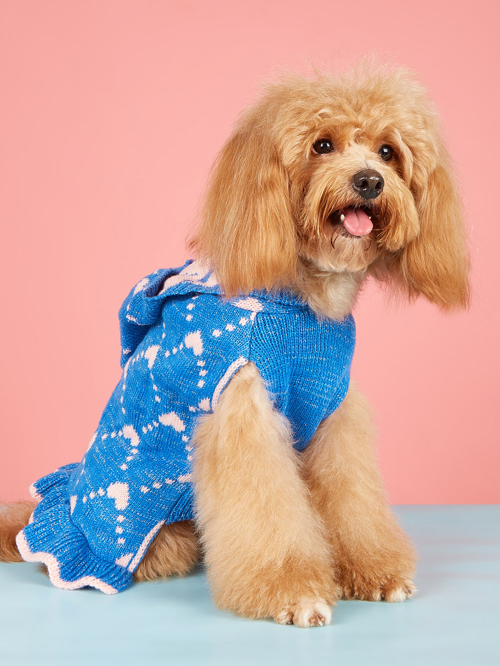 Small Dog Winter Knit Hoodie Dress