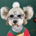 Warm Dog Hat