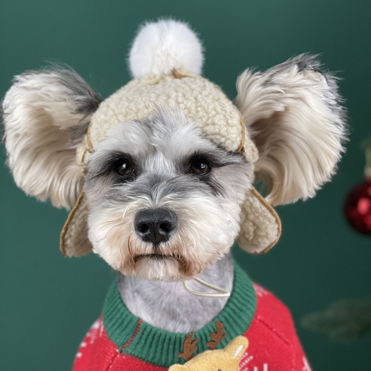 Warm Dog Hat