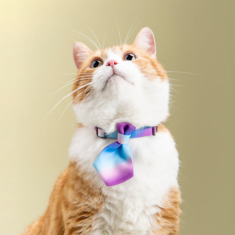 Adjustable Dog Neck Accessories