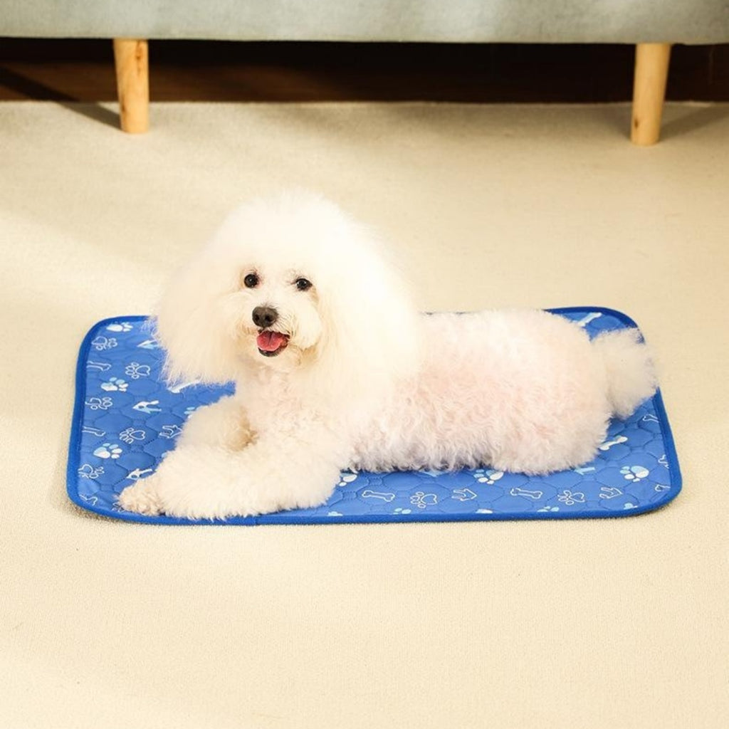 Washable Non-Slip Dog Training Pads