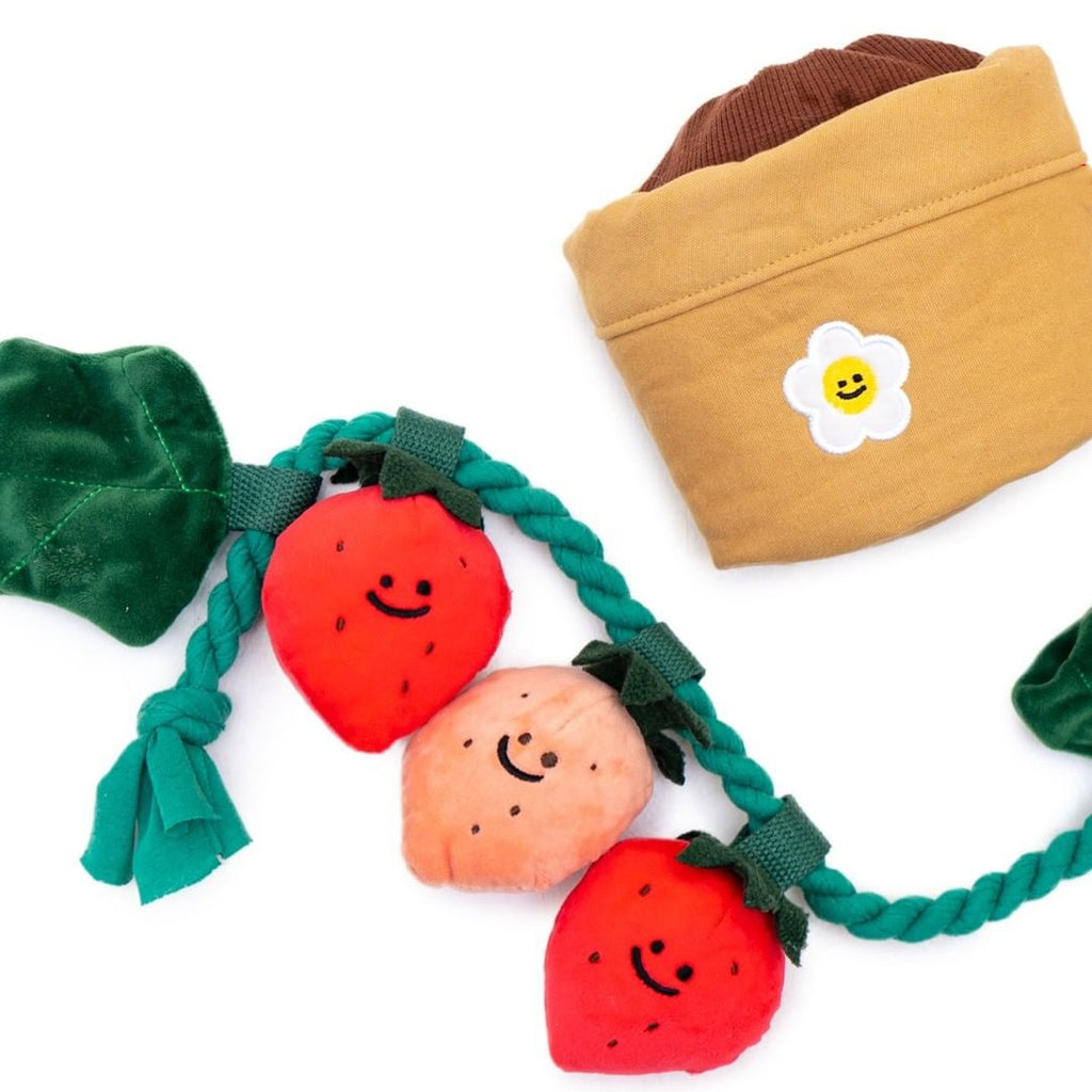 Strawberry Potted Plant Set Tibetan Food Bb Called Pull Toy