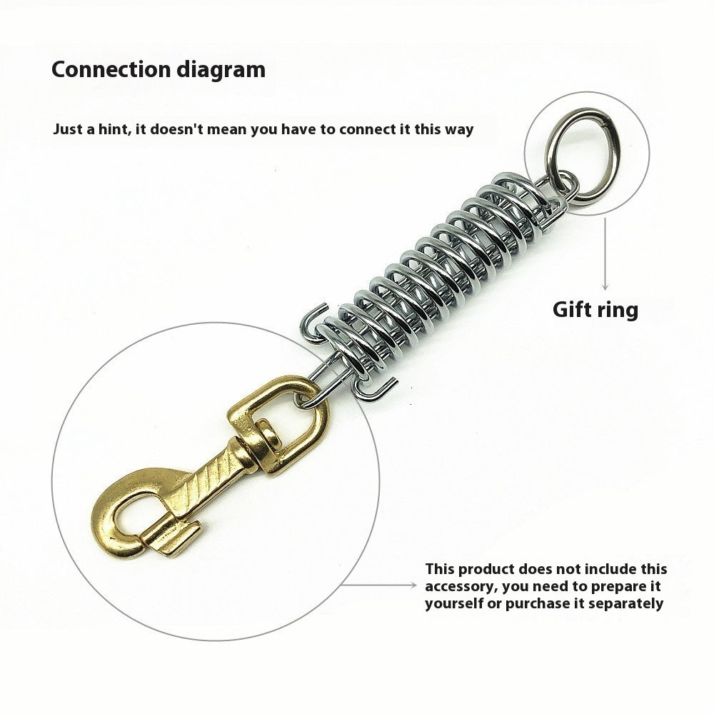 Hand-Held Dog Chain With Compression Spring