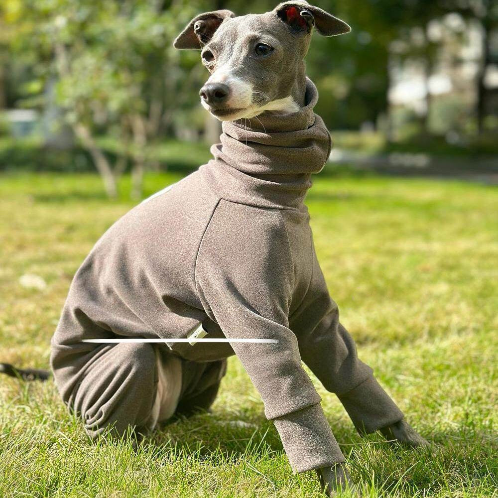 Four-Way Stretch Thermal Dog Base Layer Top