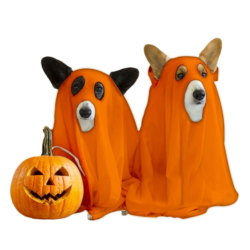 Halloween Ghost Pet Costume