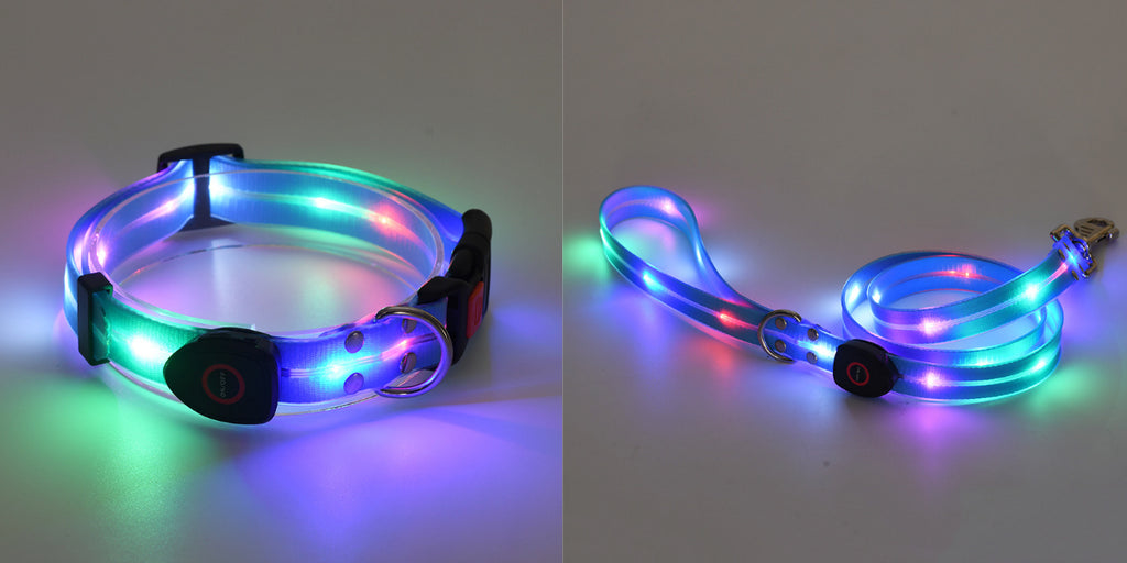 Rechargeable LED Collar and Nylon Leash