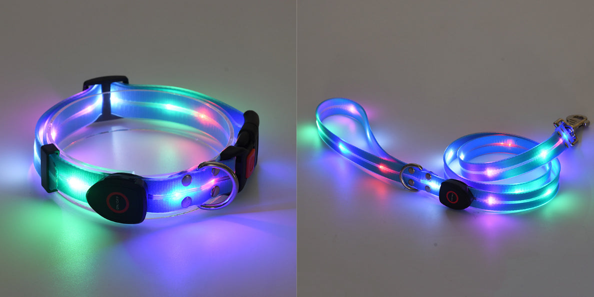 Rechargeable LED Collar and Nylon Leash