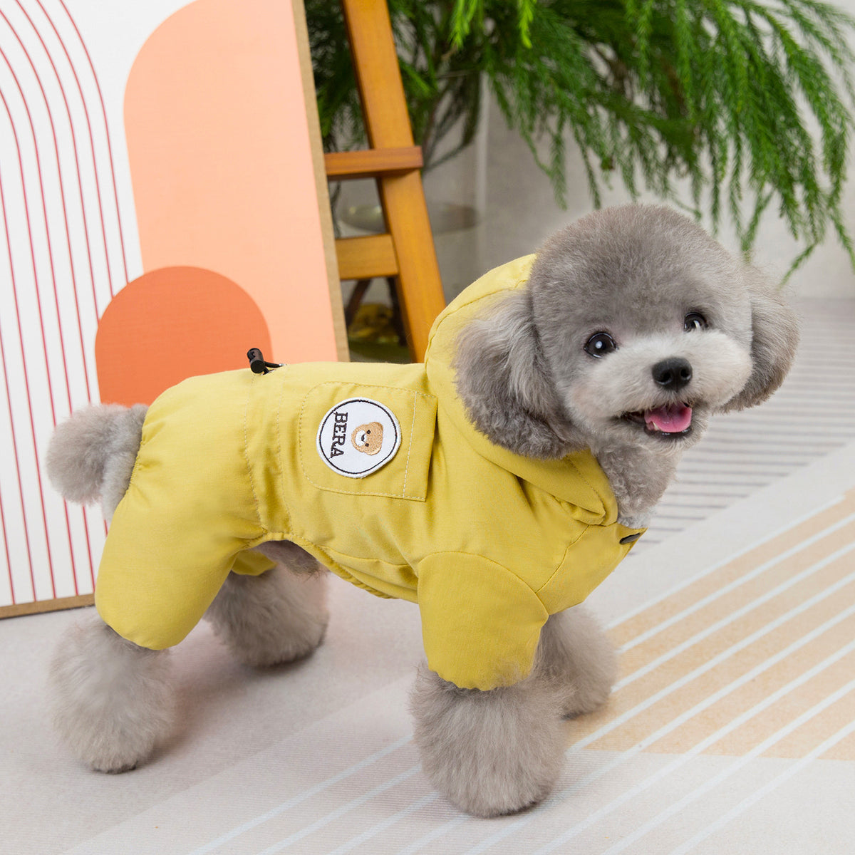 New Autumn Winter Dog Clothing