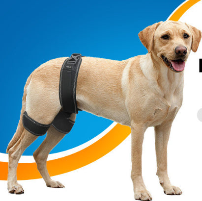 Dog Hip Support Belt