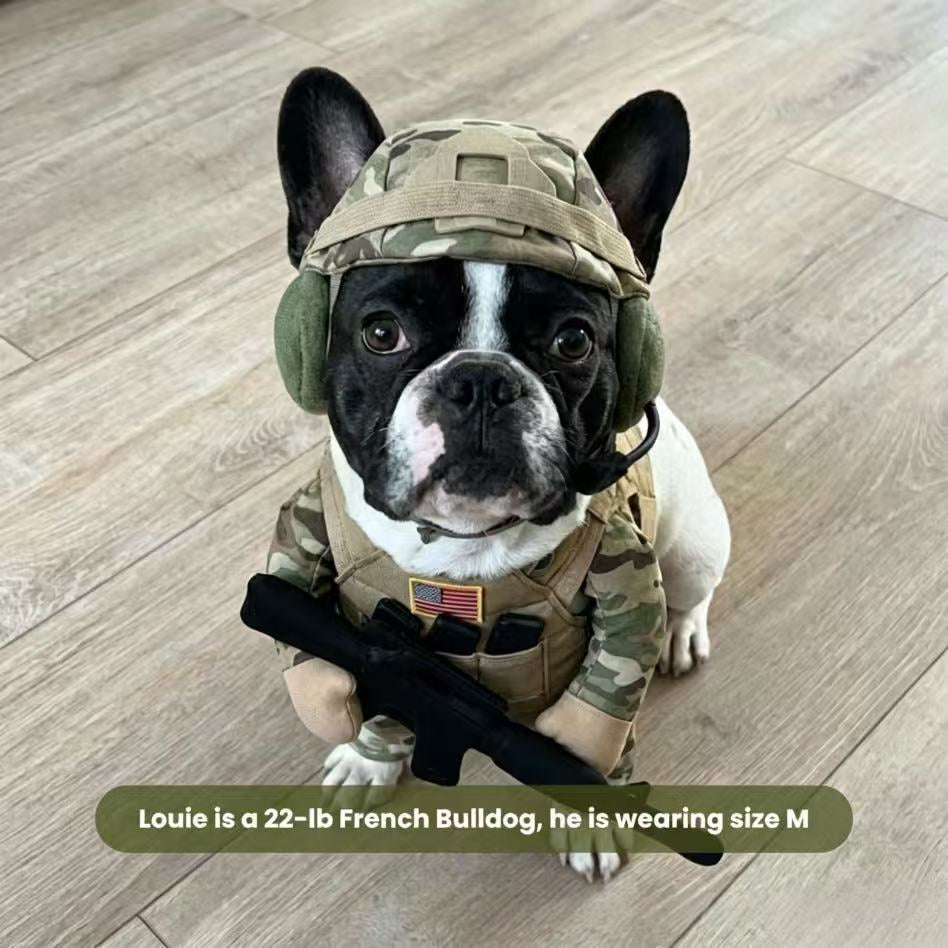 Puppy Soldier Costume Set