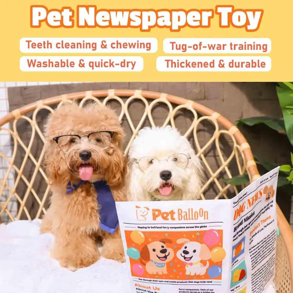 2-Pack Newspaper Crinkle Dog Toy