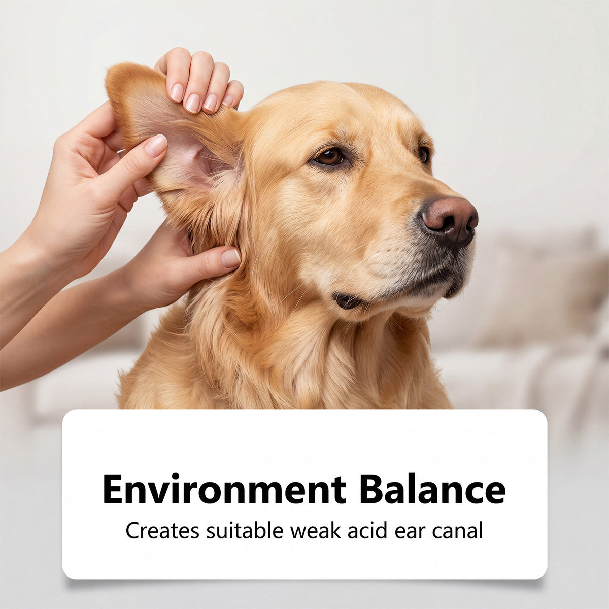 Yegbong Pet Ear Cleaning Water Is Refreshing, Comfortable, Clean, And Gentle For Daily Cleaning And Care Of Pet Ears