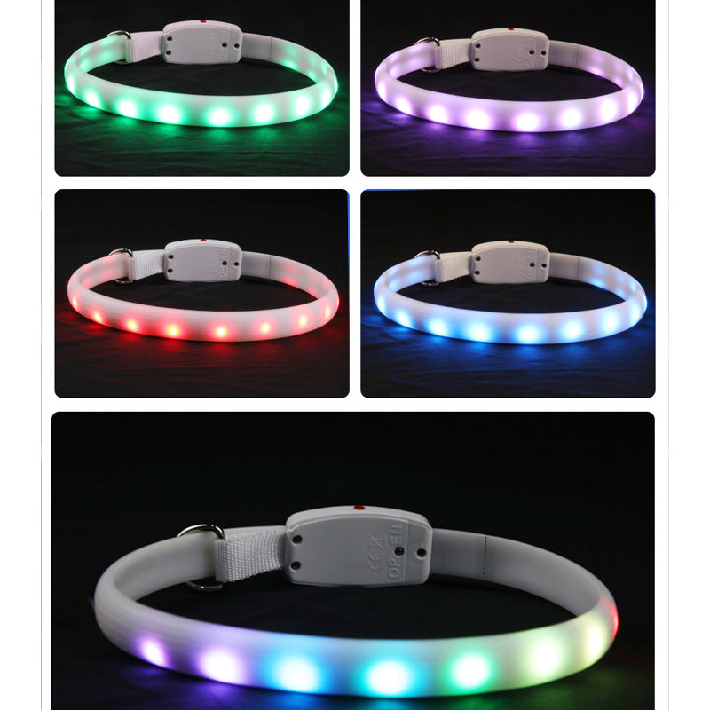 USB Rechargeable LED Dog Collar
