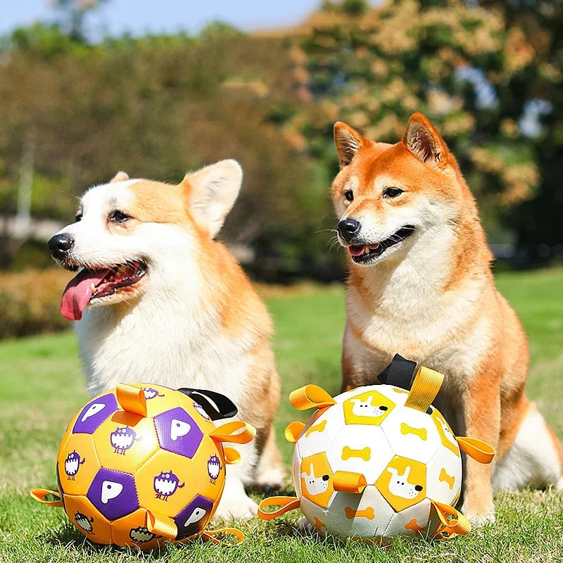 Interactive Dog Football Toy