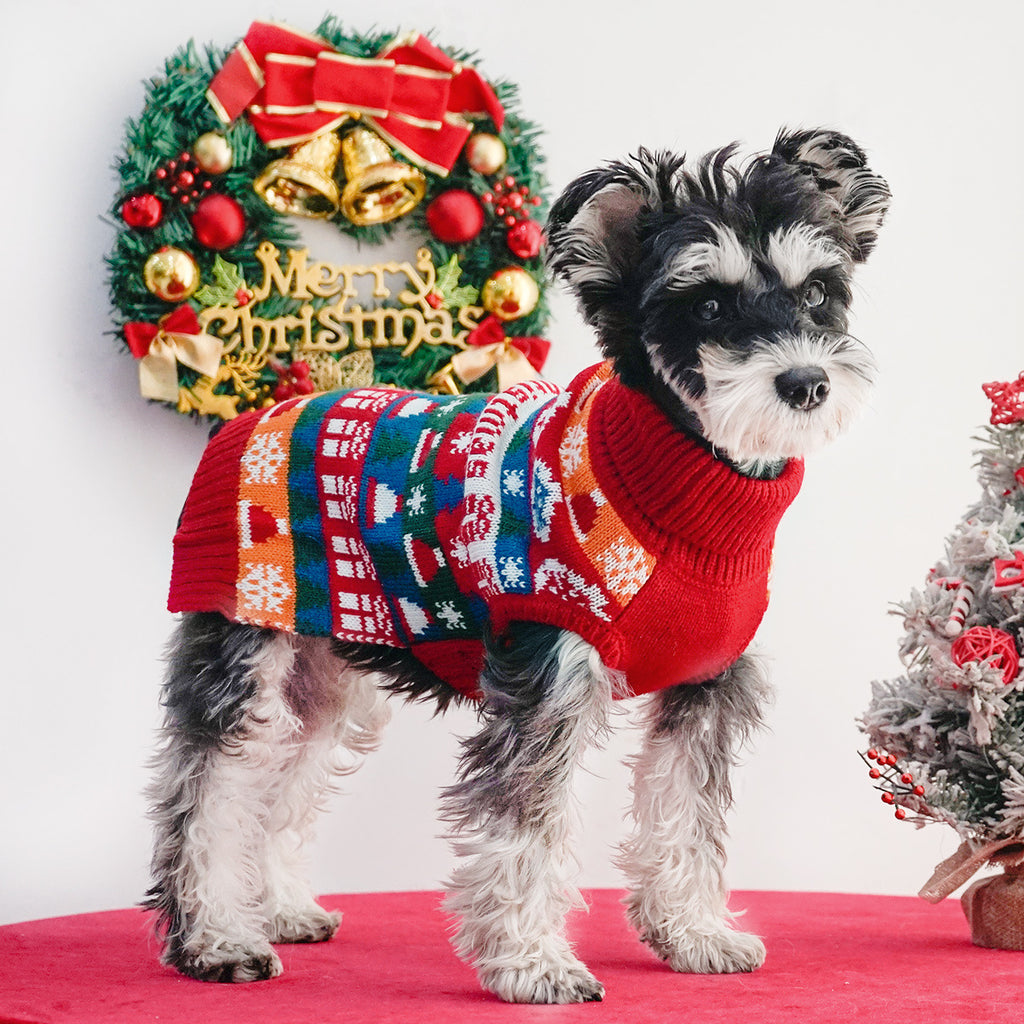 Autumn Christmas Two-Leg Dog Sweater