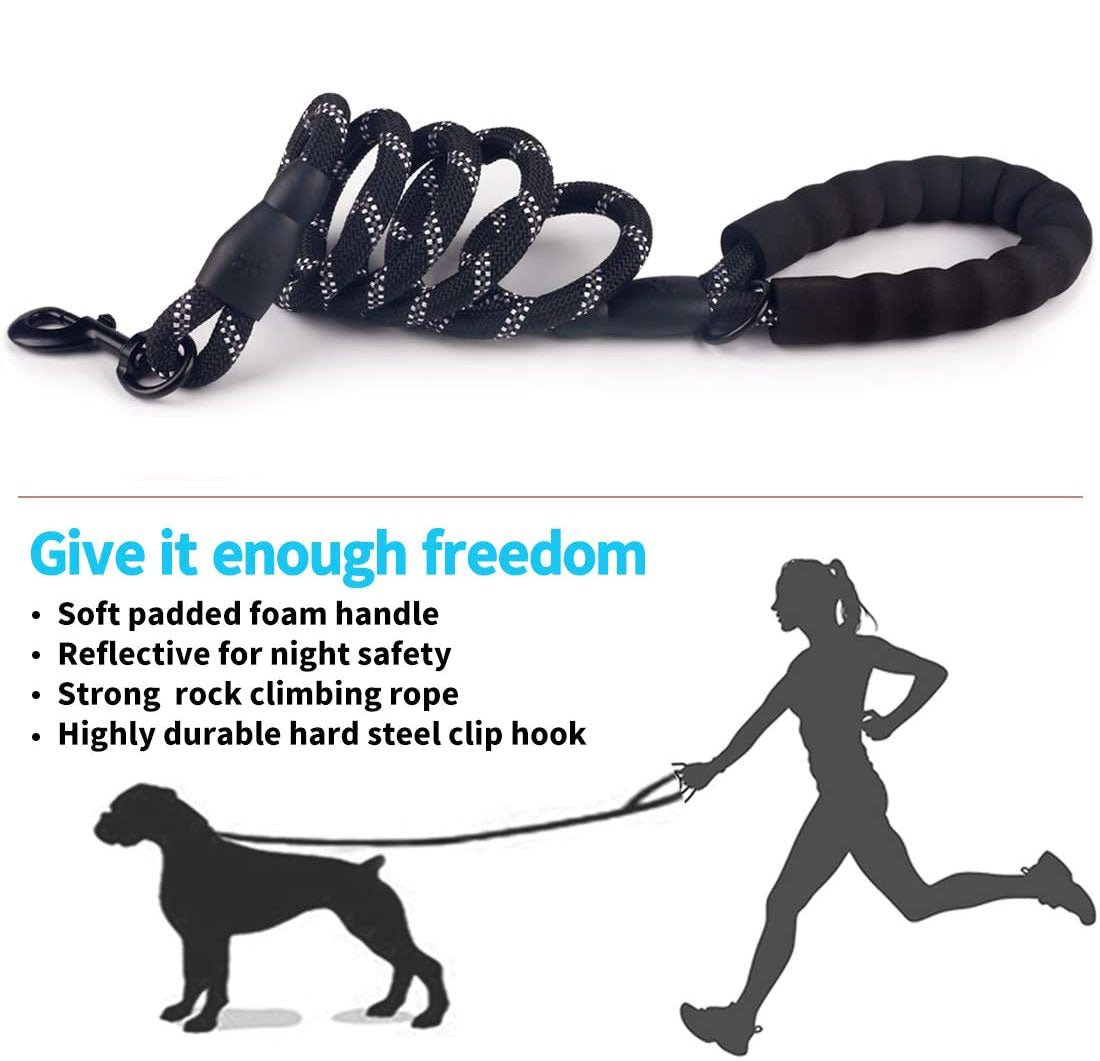 Reflective Nylon Dog Leash