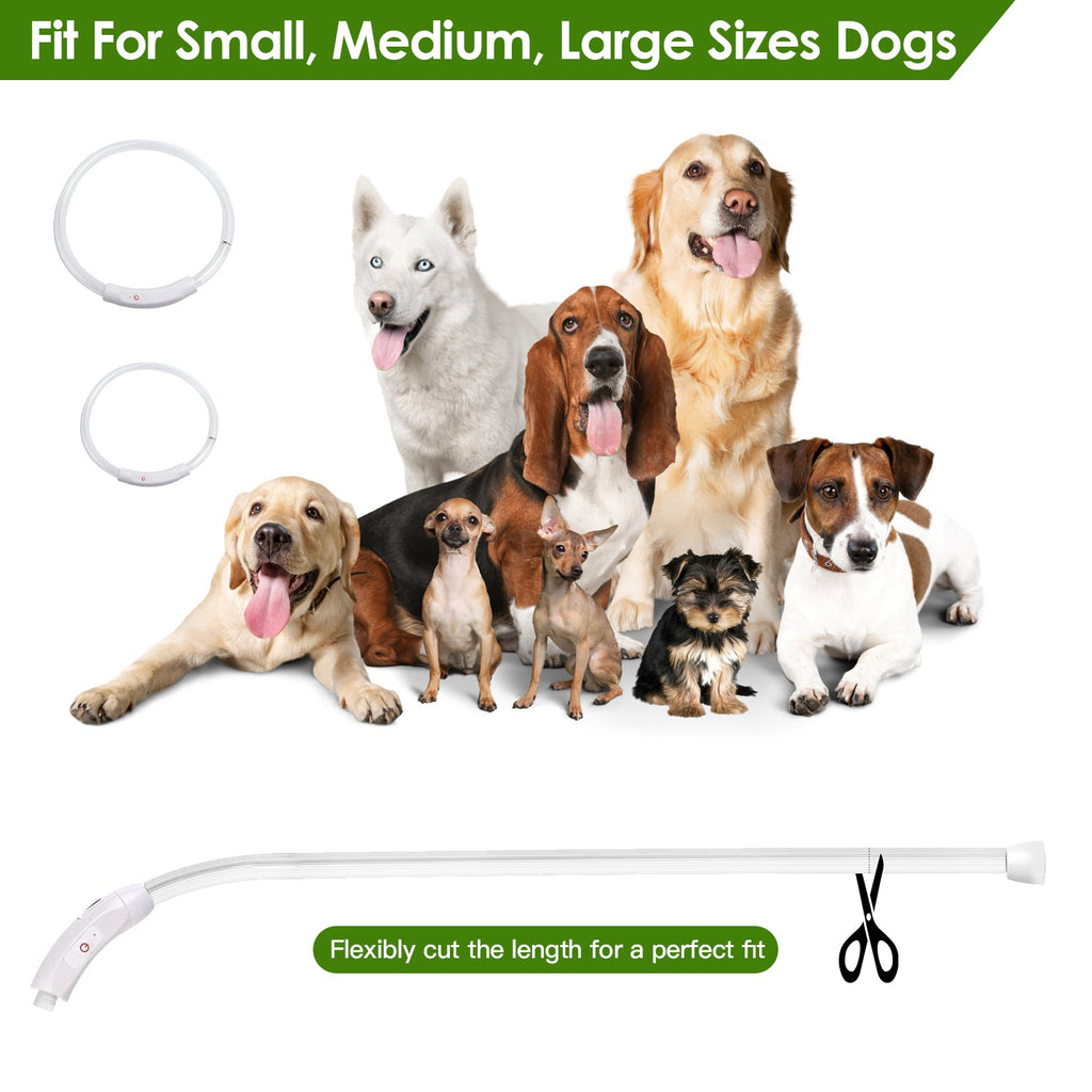 USB Rechargeable Multi-Color LED Dog Collar