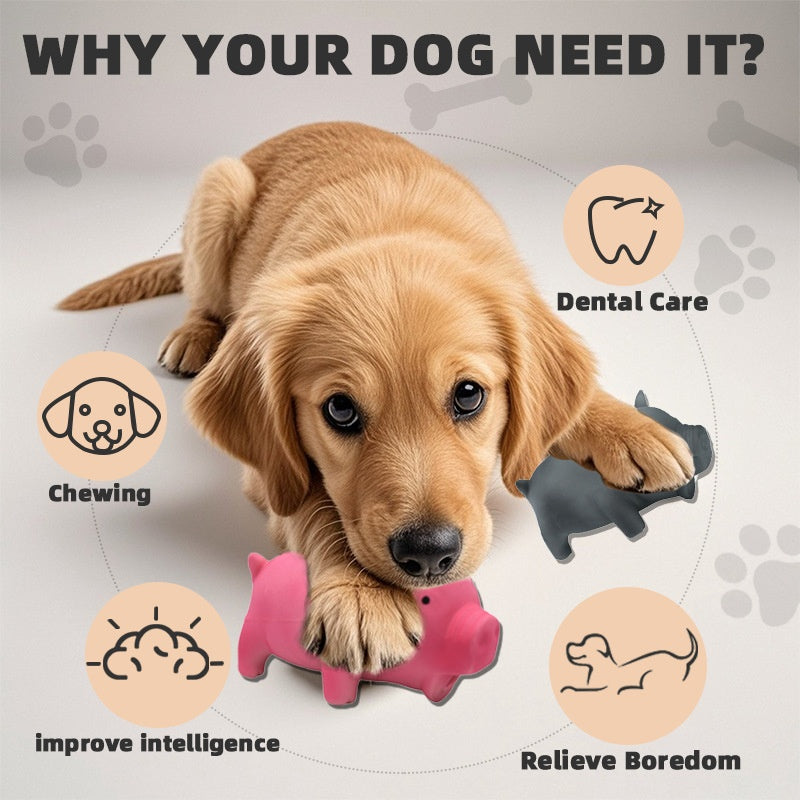 Long-Lasting Dog Molar Chew Toy