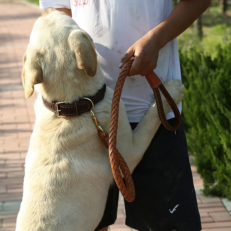 Thick 8-Strand Braided Pet Dog Leash