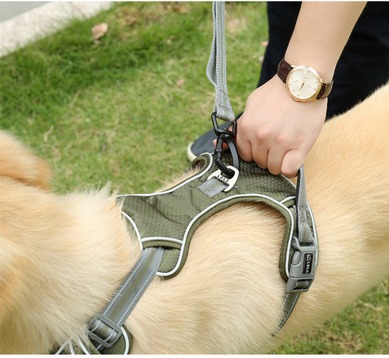Fluorescent Pet Explosion-Proof Punch Elastic Retractable Dog Leash
