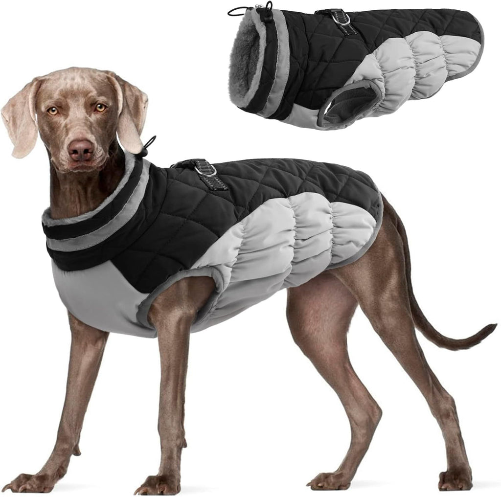 Warm Padded Winter Dog Coat