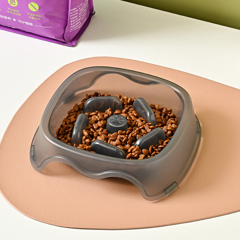 Plastic Slow Water Feeder Bowl for Dogs