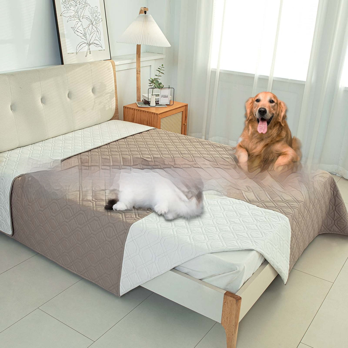 Contrast Color Double-Sided Waterproof Pet Sofa Cushion