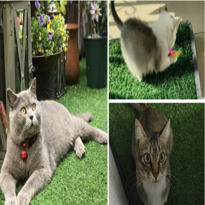 Simulated Lawn Pet Pee Pad Non-Slip Warm