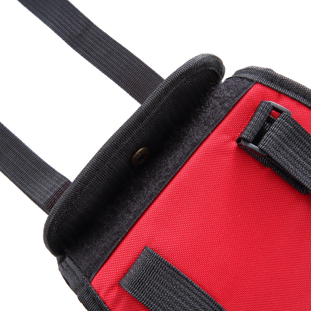 Dog Carrier With Pet-Handling Handle and Auxiliary Leash