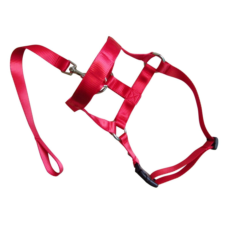 Anti-Riot Rushing Dog Traction Rope For Dog Walking