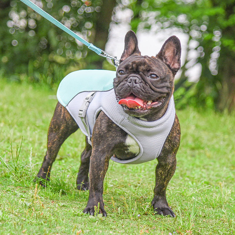 Breathable Summer Cooling Dog Vest