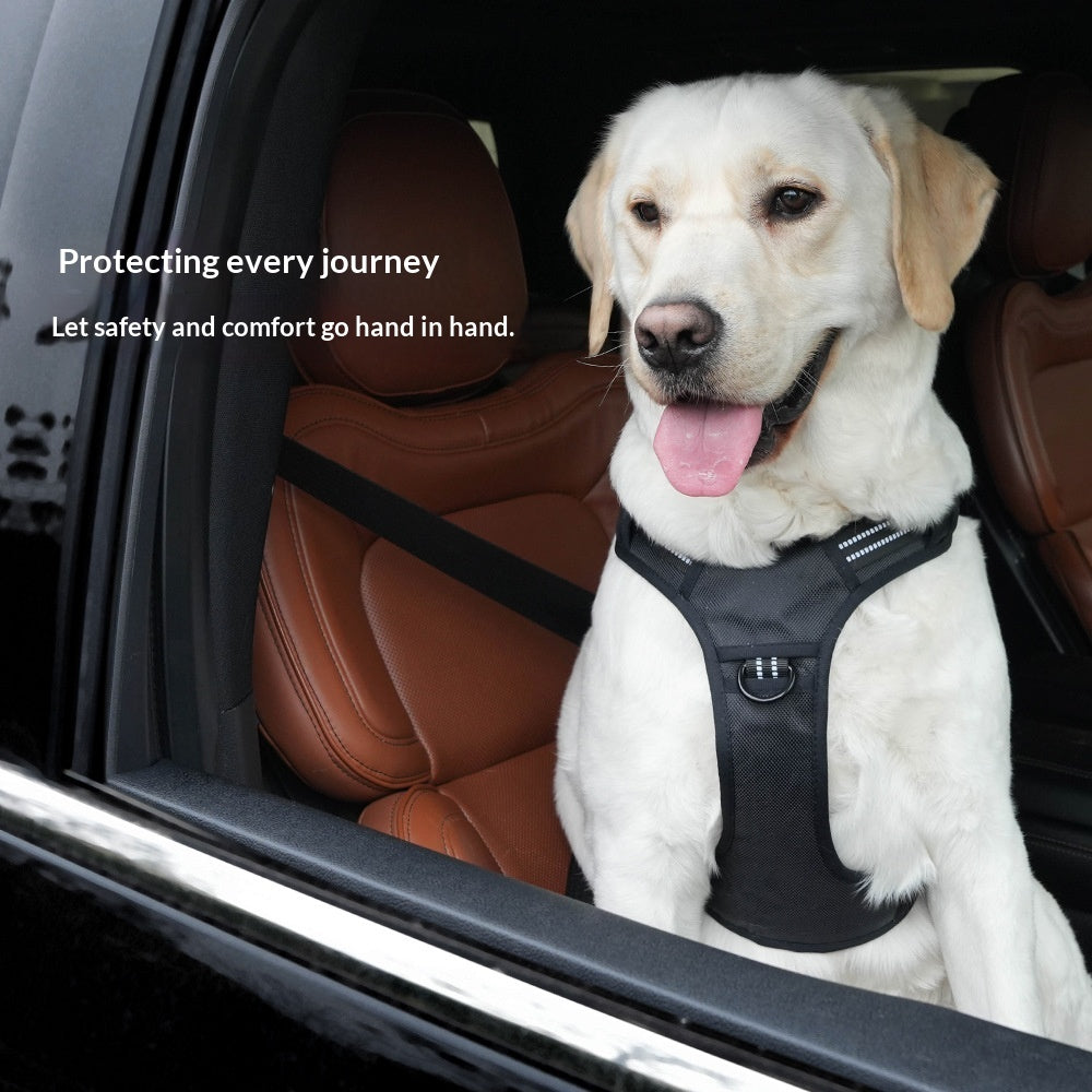 Lightweight Dual-Use Dog Harness For Car Traction