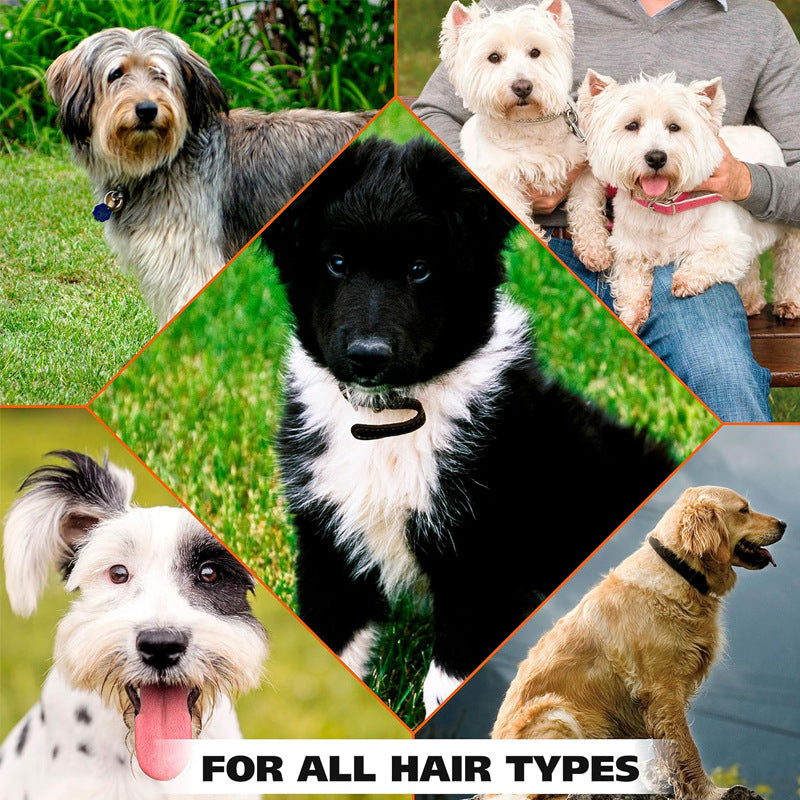 Powerful Odor-Neutralizing Spray For Pets Specially Formulated To Break Down Stubborn Urine Smells