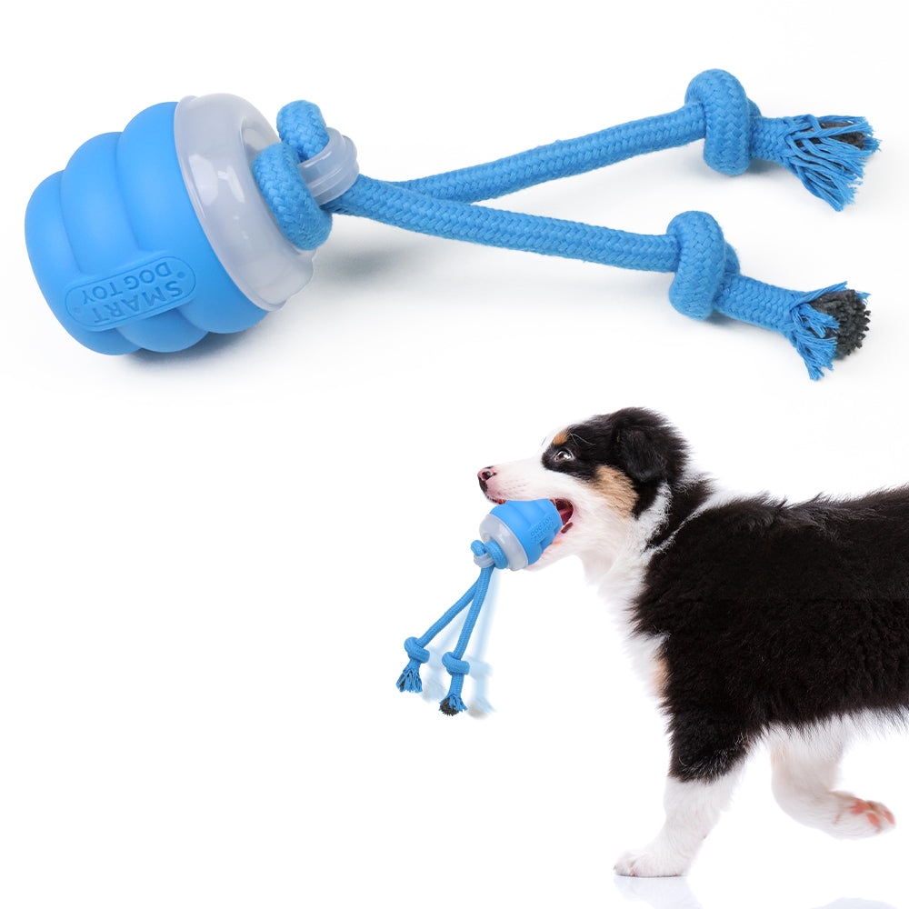 Electric Toy Ball Built-In Dog Leash Suitable For Small And Medium-Sized Dogs
