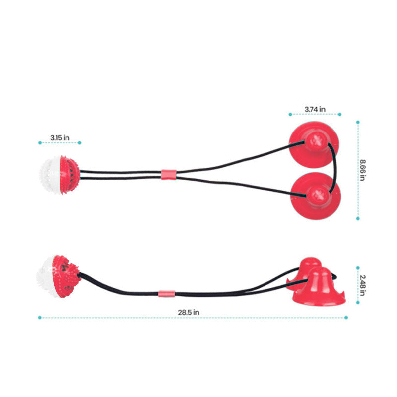 Suction Cup Molar Chew Toy for Dogs