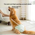 Big Dog Menstrual Panties Menstrual Period Diaper Pants