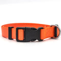 Durable Nylon Dog Collar