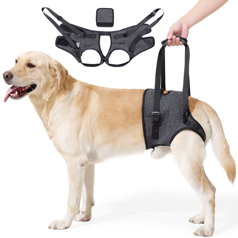 Retractable Dog Harness