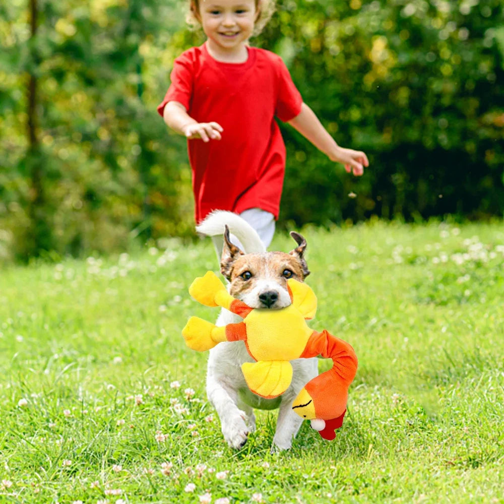 Screaming Chicken Squeaky Dog Toy Set