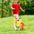 Screaming Chicken Squeaky Dog Toy Set