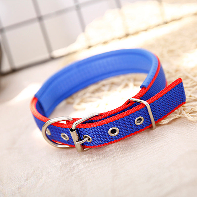 Pp Braid Lined Polypropylene Pet Foam Dog Collar