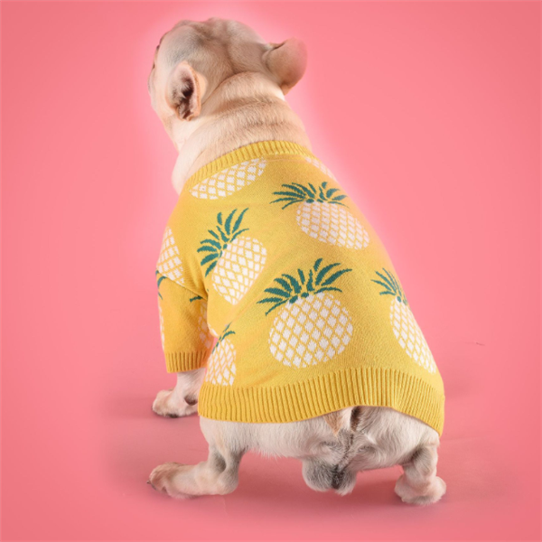 Pineapple Sweater
