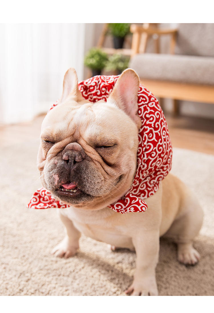 Sell Cute Pillow Scarf Pet