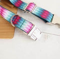 Pattern Dog Collar Color Ribbon Traction Set