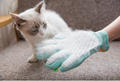 Pet Hair Removal Massage Brush