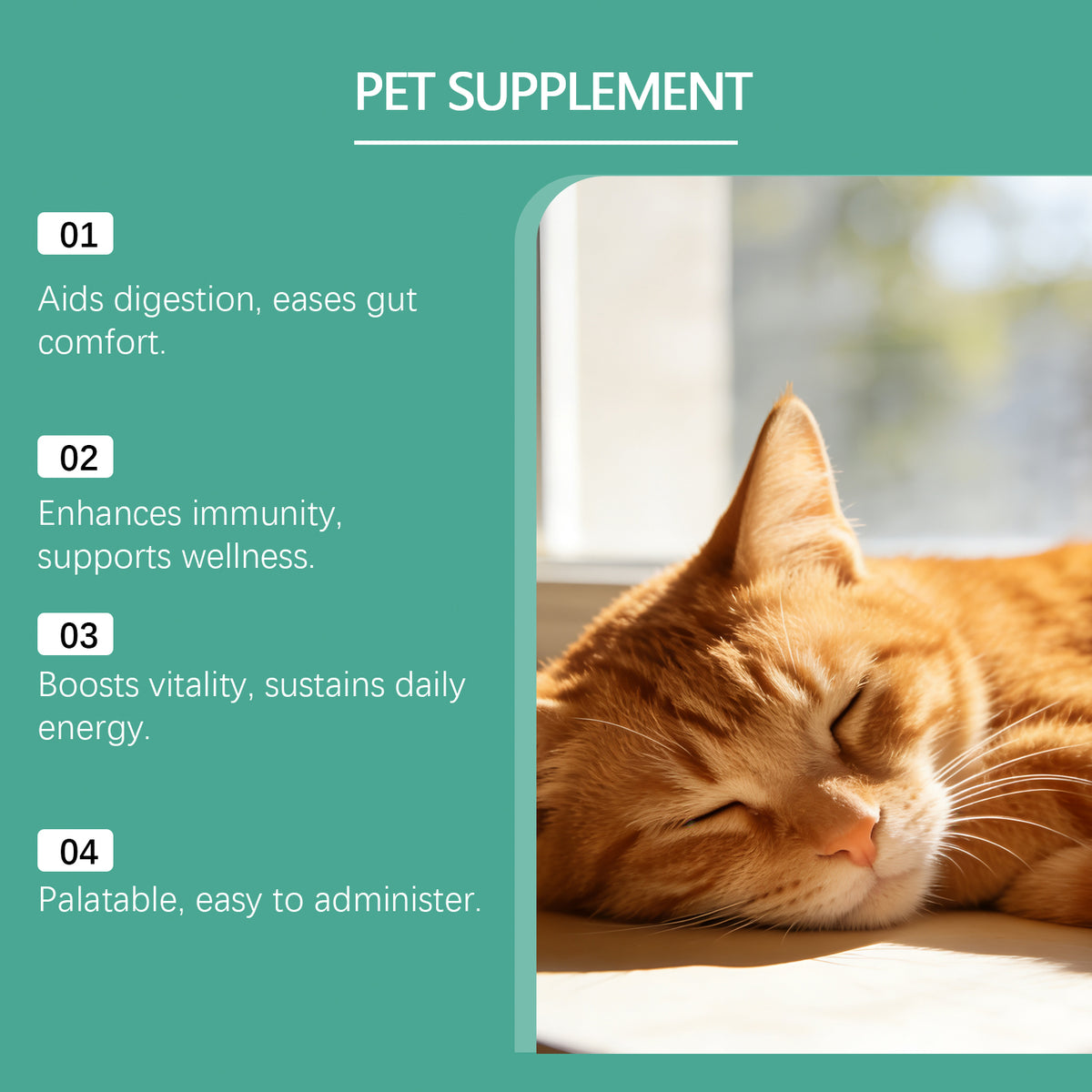 Pet Teeth Cleaning Powder