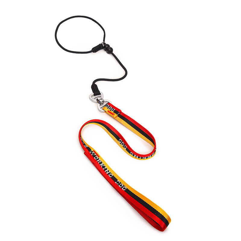Minimalist Pet Leash Easy-To-Extend Design For Medium And Large Dogs