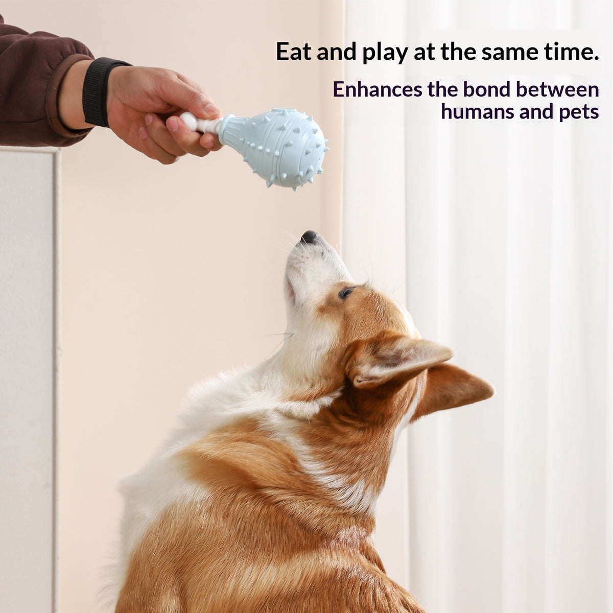 Tpr Chicken Leg Shaped Dog Treat Dispensing Toy - Durable Dental Chew Interactive Puzzle Feeder For Sniffing Boredom Relief And Energy Burni