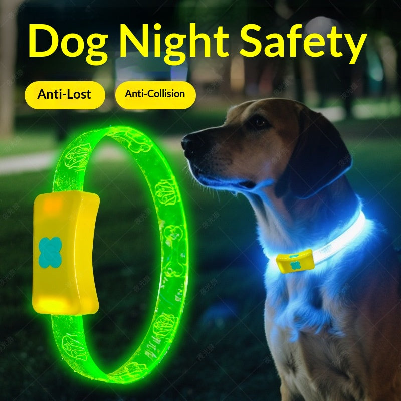 Glowing Dog Collar For Nighttime Walks