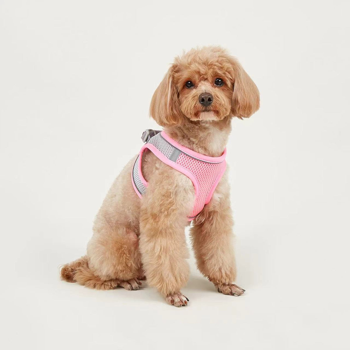 Breathable Small Dog Harness Leash
